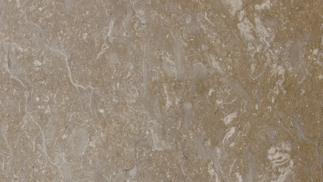 Camel Beige