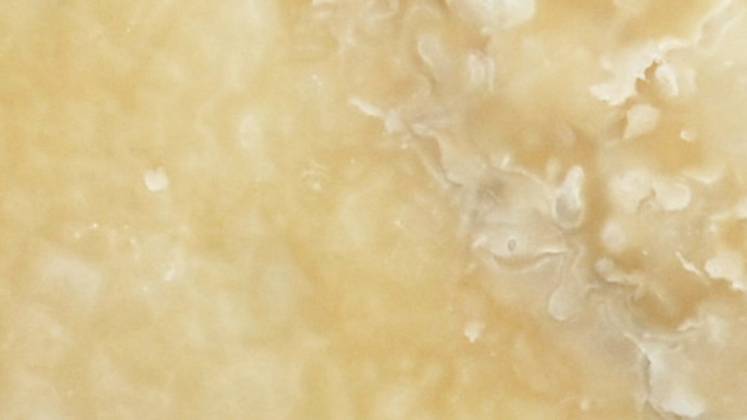 Honey Onyx
