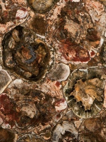 Petrified