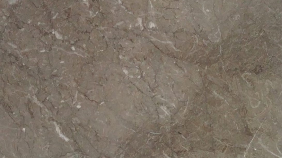 Olive Gray