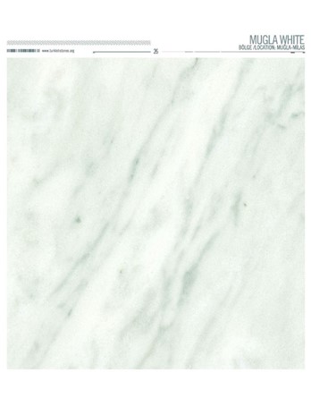 394