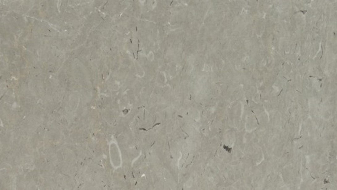 Platinium Gray