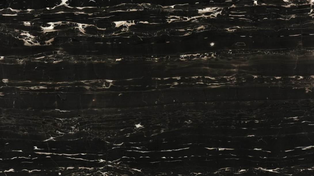 Black Tiger