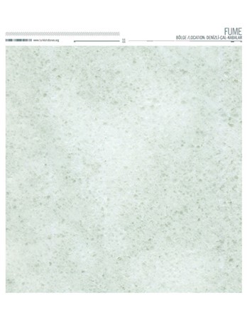 409