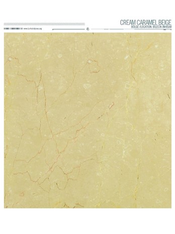 603